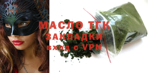 индика Богородицк