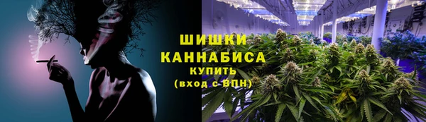 индика Богородицк