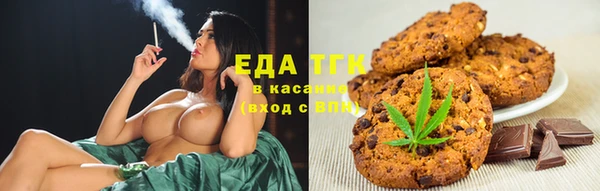 индика Богородицк