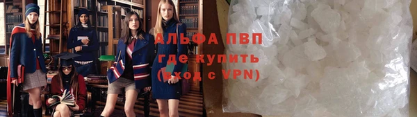 индика Богородицк