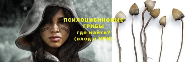 кокс Богданович