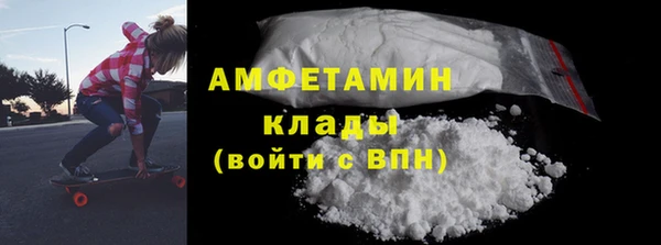 индика Богородицк