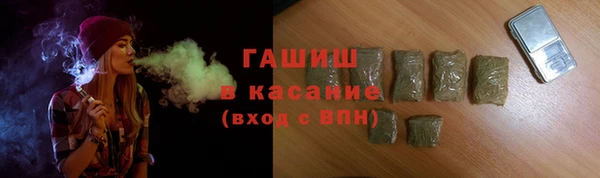 индика Богородицк