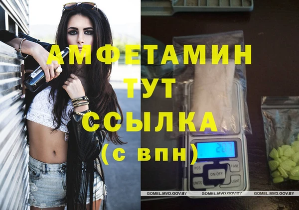 индика Богородицк