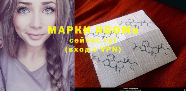 индика Богородицк