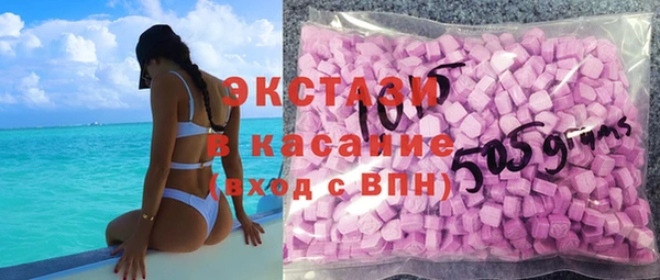 индика Богородицк
