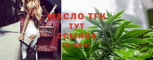 индика Богородицк