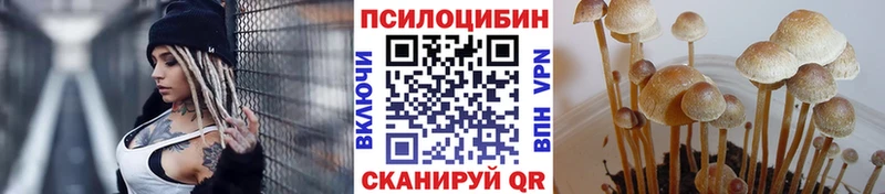 закладка  shop состав  Псилоцибиновые грибы Psilocybine cubensis  Будённовск  кракен tor 