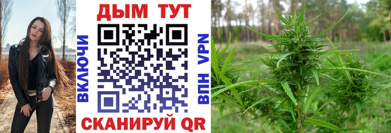 Шишки марихуана ГИДРОПОН  Будённовск 
